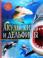 Akuly, kity i delfiny