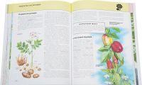 Растения. Полная энциклопедия