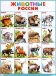 Zhivotnye Rossii. Plakat (770x550)