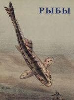 Ryby (nabor iz 15 otkrytok)