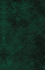 Saga o Forsajtakh. V 2 tomakh. Tom 2. Sovremennaja komedija