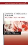 Анатомия и физиология человека. Практические занятия. Учебное пособие