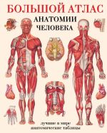 Bolshoj atlas anatomii cheloveka