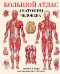 Bolshoj atlas anatomii cheloveka