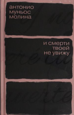 I smerti tvoej ne uvizhu