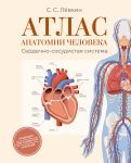 Atlas anatomii cheloveka. Serdechno-sosudistaja sistema