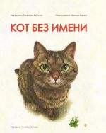 Kot bez imeni