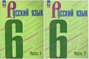 Russkij jazyk. Uchebnik. 6 klass. V dvukh chastjakh