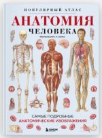 Anatomija cheloveka. Populjarnyj atlas. Samye podrobnye anatomicheskie izobrazhenija
