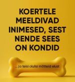 Koertele meeldivad inimesed, sest nende sees on kondid