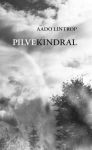 Pilvekindral. Luulet aastatest 2022-2025