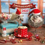 Jozhekalendar. Kakao s marshmellou. Kalendar nastennyj na 2027 god (170kh170)
